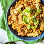slow cooker honey garlic chicken