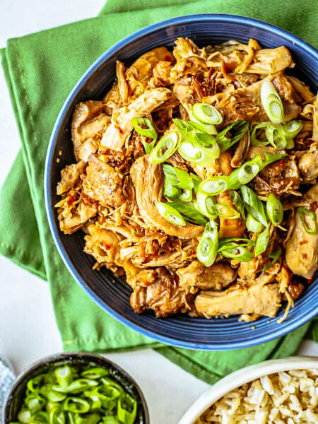 slow cooker honey garlic chicken