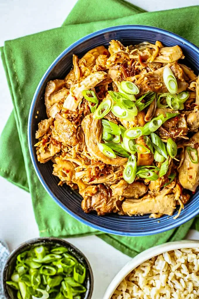 Slow Cooker Honey Garlic Chicken Recipe