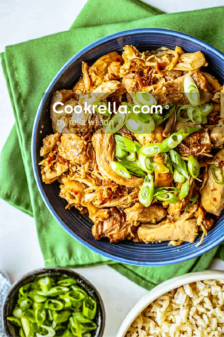 Slow Cooker Honey Garlic Chicken
